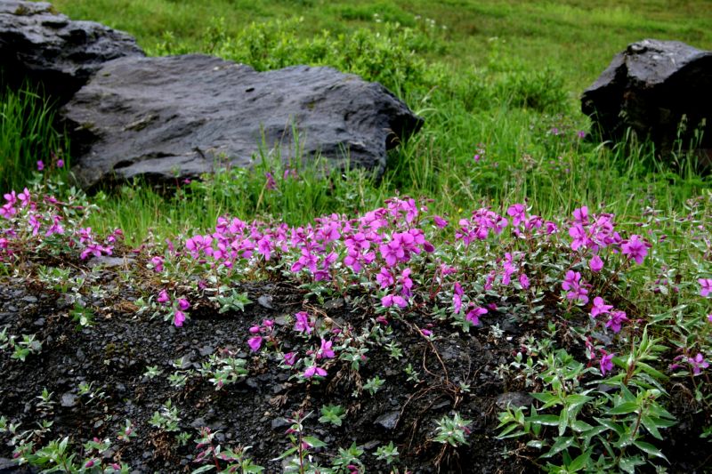 070404 Hope Hatcher Montana Creek (10152)